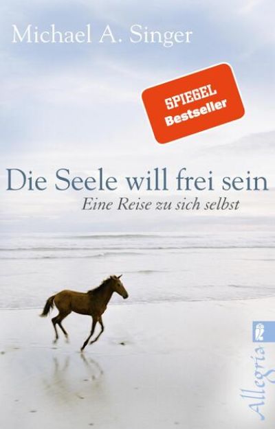 Bild von Die Seele will frei sein von Michael A. Singer