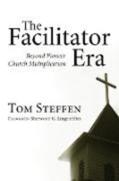 Bild zu The Facilitator Era von Tom Steffen