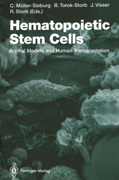 Bild von Hematopoietic Stem Cells von Christa E. (Hrsg.) Müller-Sieburg