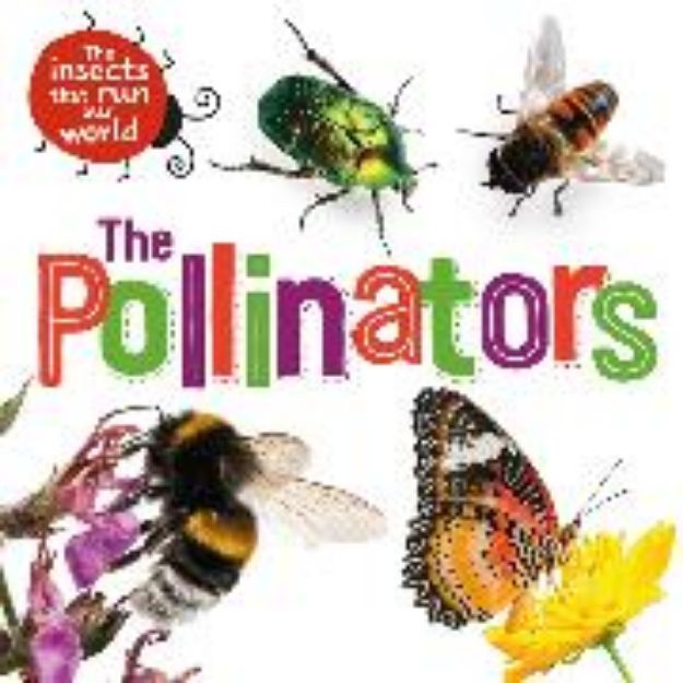 Bild von The Insects that Run Our World: The Pollinators von Ridley Sarah