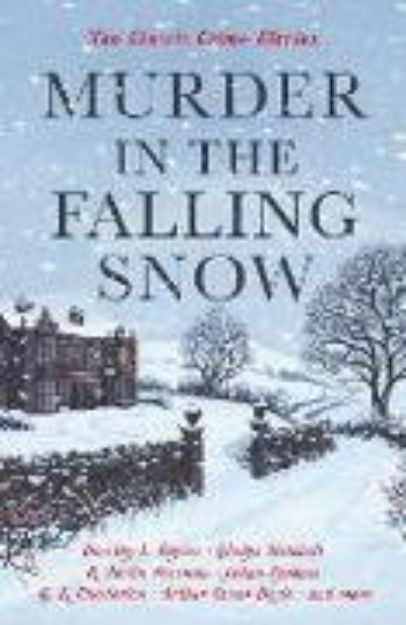 Bild von Murder in the Falling Snow von Cecily Gayford