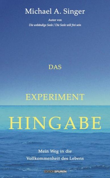 Bild von Das Experiment Hingabe von Michael A. Singer