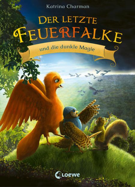 Bild von Der letzte Feuerfalke und die dunkle Magie (Band 6) von Katrina Charman