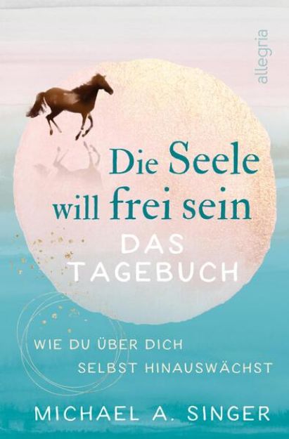 Bild von Die Seele will frei sein - Das Tagebuch von Michael A. Singer