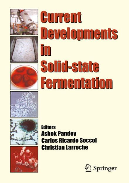 Bild von Current Developments in Solid-state Fermentation von Ashok (Hrsg.) Pandey