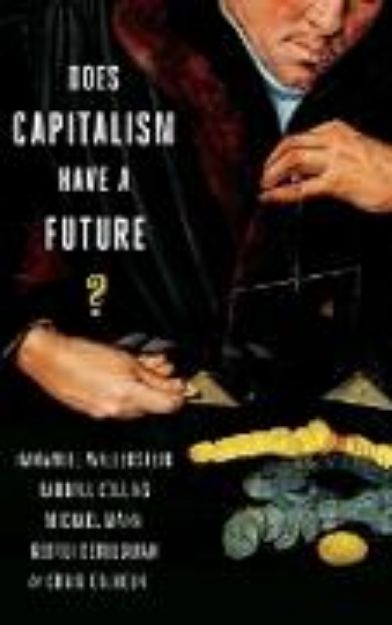 Bild von Does Capitalism Have a Future? von Immanuel (Hrsg.) Wallerstein