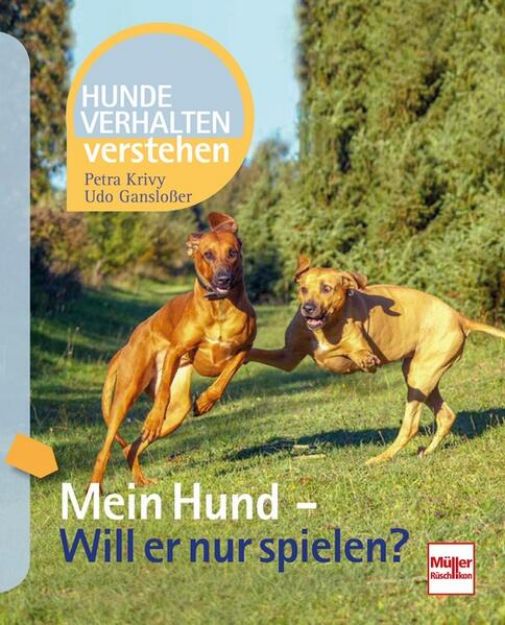 Bild von Mein Hund - Will er nur spielen? von Udo Gansloßer