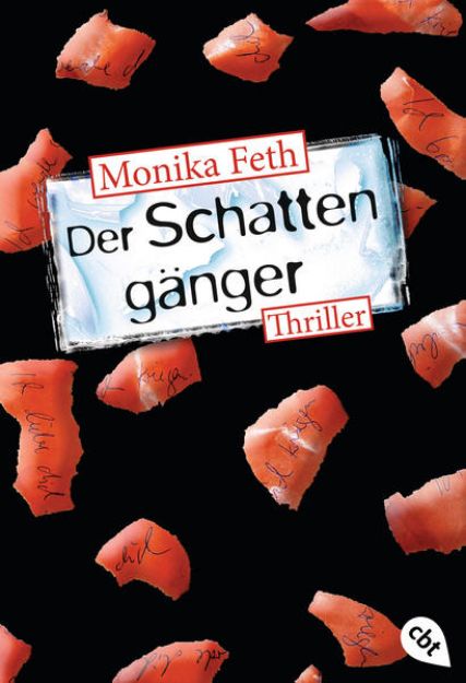 Bild von Der Schattengänger von Monika Feth