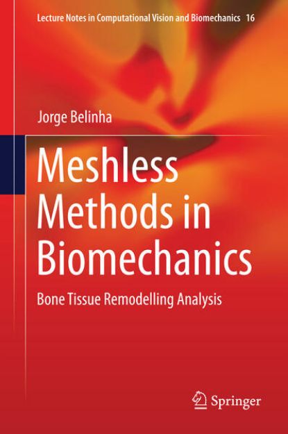 Bild zu Meshless Methods in Biomechanics von Jorge Belinha