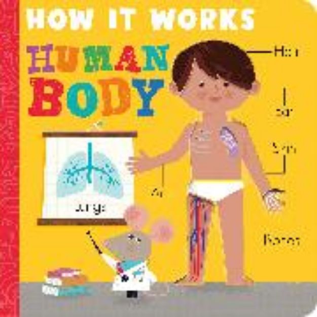 Bild von How it Works: Human Body von Amelia Hepworth