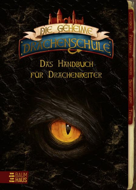 Bild von Die geheime Drachenschule - Das Handbuch für Drachenreiter von Emily Skye