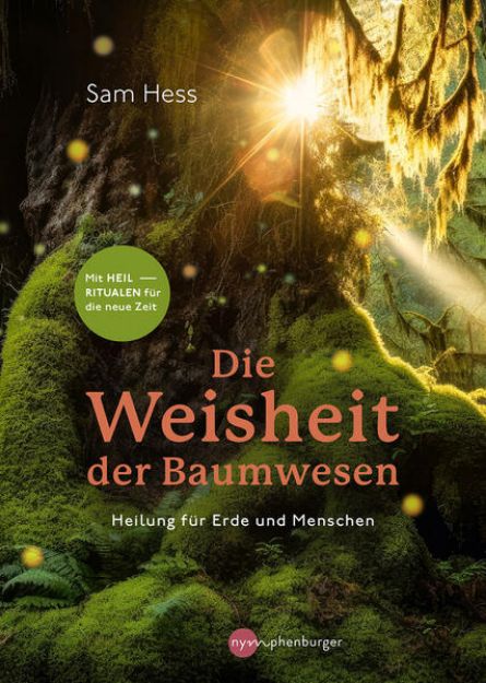 Bild von Die Weisheit der Baumwesen von Sam Hess