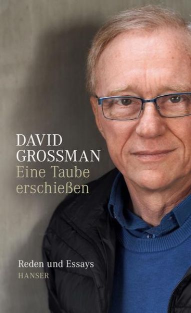 Bild von Eine Taube erschießen von David Grossman