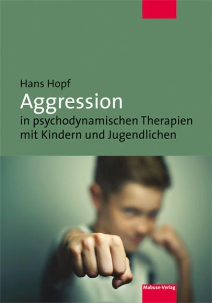 Bild von Aggression in psychodynamischen Therapien mit Kindern und Jugendlichen von Hans Hopf