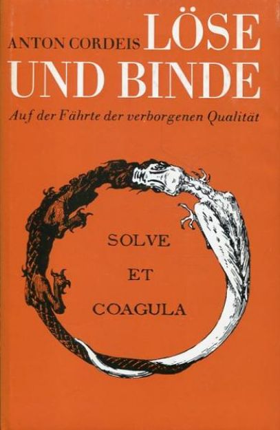 Bild von Löse und binde von Anton Cordeis