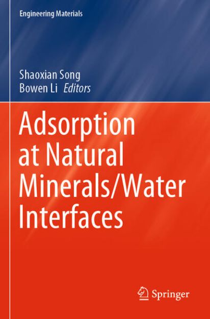 Bild von Adsorption at Natural Minerals/Water Interfaces von Bowen (Hrsg.) Li