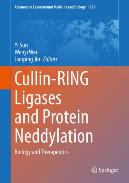 Bild von Cullin-RING Ligases and Protein Neddylation von Yi (Hrsg.) Sun