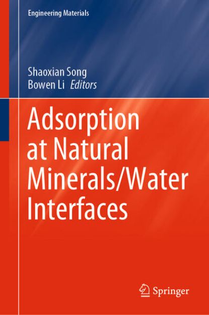 Bild von Adsorption at Natural Minerals/Water Interfaces von Bowen (Hrsg.) Li