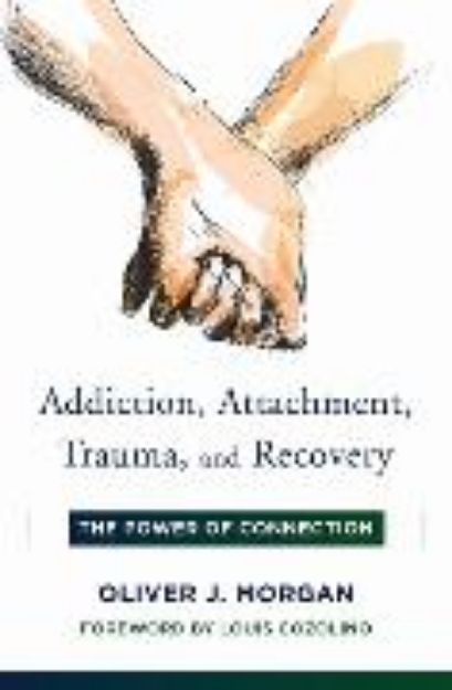 Bild von Addiction, Attachment, Trauma and Recovery von Morgan Oliver J.