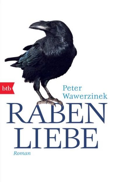 Bild von Rabenliebe von Peter Wawerzinek