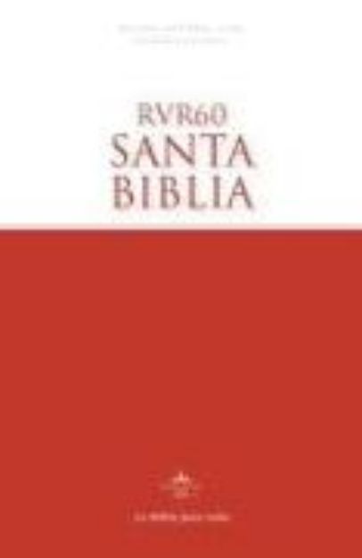 Bild von Reina Valera 1960 Santa Biblia Edición Económica, Tapa Rústica von Vida