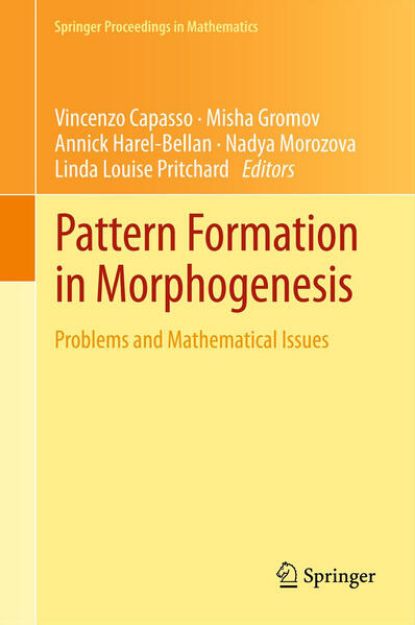 Bild von Pattern Formation in Morphogenesis von Vincenzo (Hrsg.) Capasso