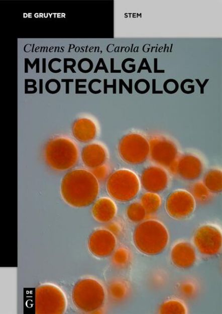 Bild von Microalgal Biotechnology von Clemens Posten