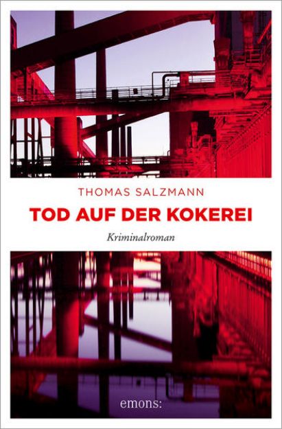 Bild von Tod auf der Kokerei von Thomas Salzmann