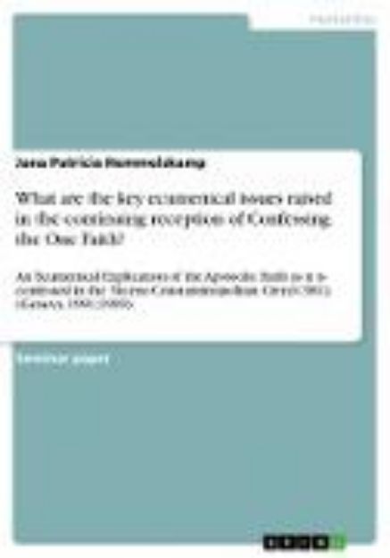 Bild zu What are the key ecumenical issues raised in the continuing reception of Confessing the One Faith? von Jana Patricia Hemmelskamp