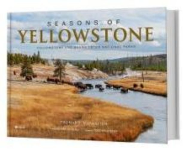 Bild von Seasons of Yellowstone von Thomas D. Mangelsen