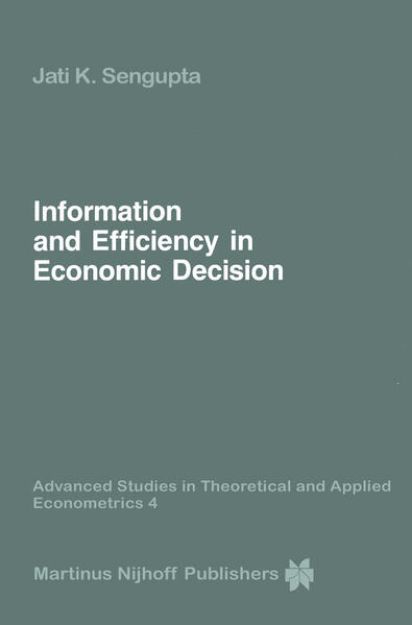 Bild zu Information and Efficiency in Economic Decision von Jati Sengupta