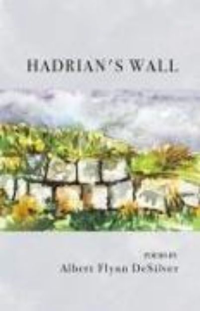 Bild von HADRIAN'S WALL von Albert Flynn Desilver