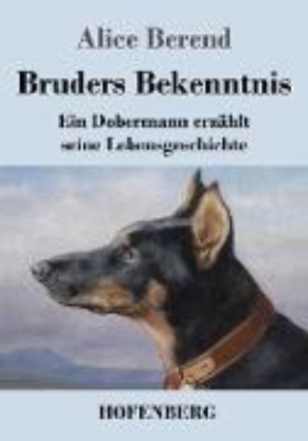 Bild von Bruders Bekenntnis von Alice Berend