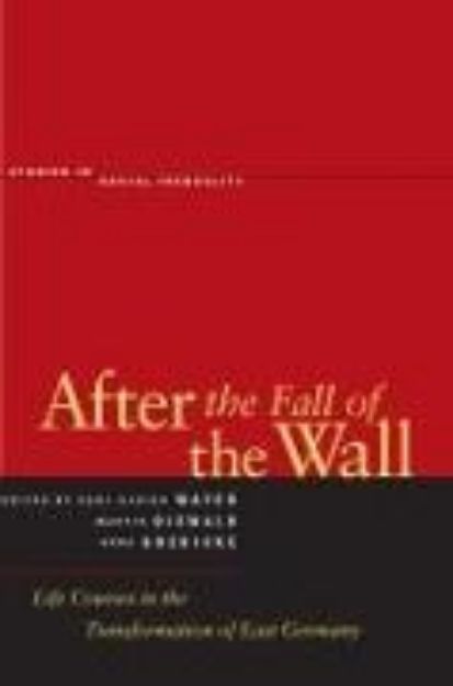 Bild von After the Fall of the Wall von Martin (Hrsg.) Diewald