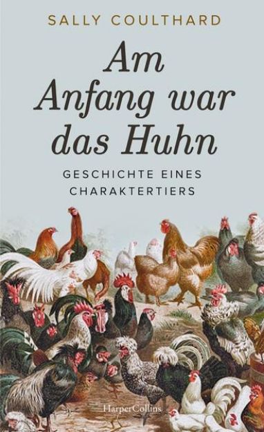 Bild von Am Anfang war das Huhn. Geschichte eines Charaktertiers von Sally Coulthard