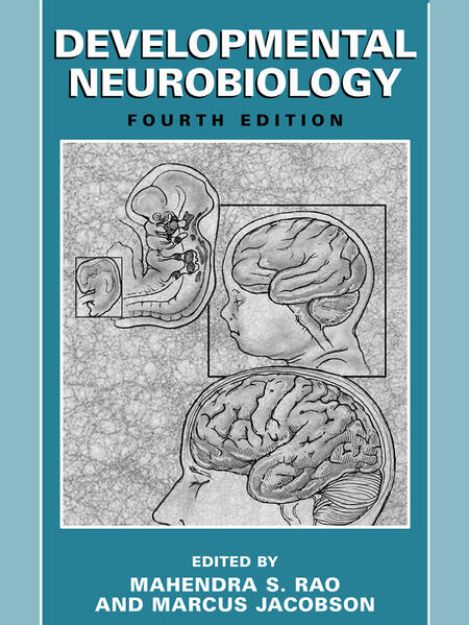 Bild von Developmental Neurobiology von Mahendra S. (Hrsg.) Rao