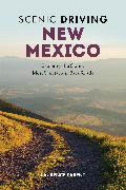 Bild von Scenic Driving New Mexico von Parent Laurence