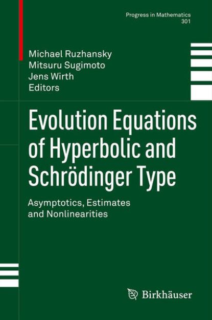 Bild von Evolution Equations of Hyperbolic and Schrödinger Type von Michael (Hrsg.) Ruzhansky