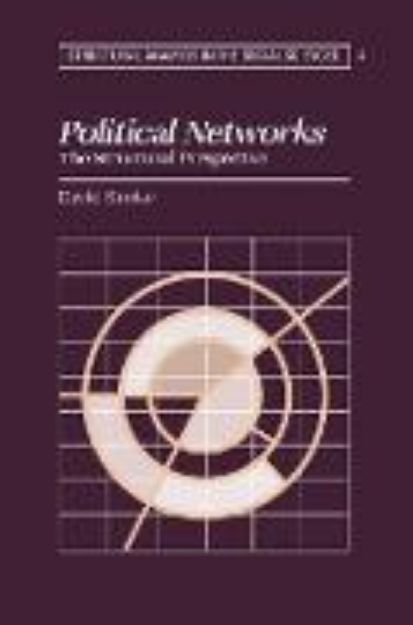 Bild von Political Networks von David Knoke