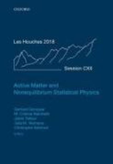 Bild von Active Matter and Nonequilibrium Statistical Physics von Julien (Hrsg.) Tailleur