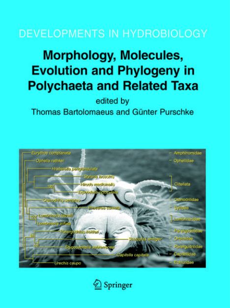 Bild zu Morphology, Molecules, Evolution and Phylogeny in Polychaeta and Related Taxa von Universität Osnabrück (Hrsg.)