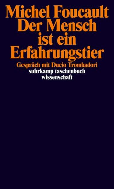 Bild von Der Mensch ist ein Erfahrungstier von Michel Foucault