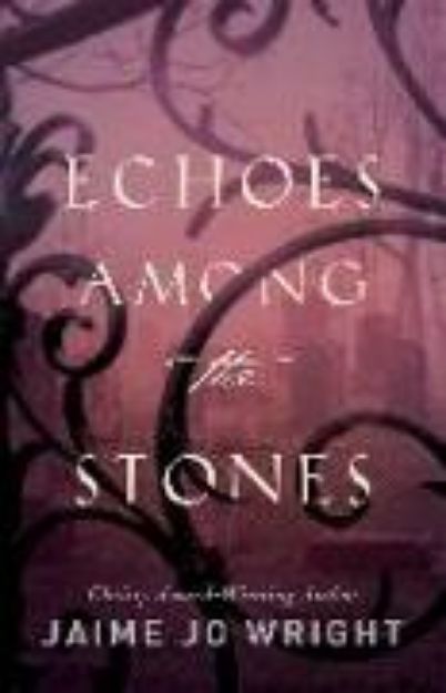 Bild von Echoes Among the Stones von Jaime Jo Wright