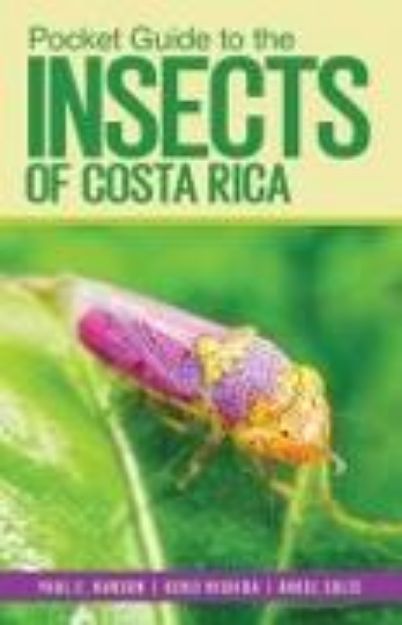 Bild von Pocket Guide to the Insects of Costa Rica von Paul E. Hanson